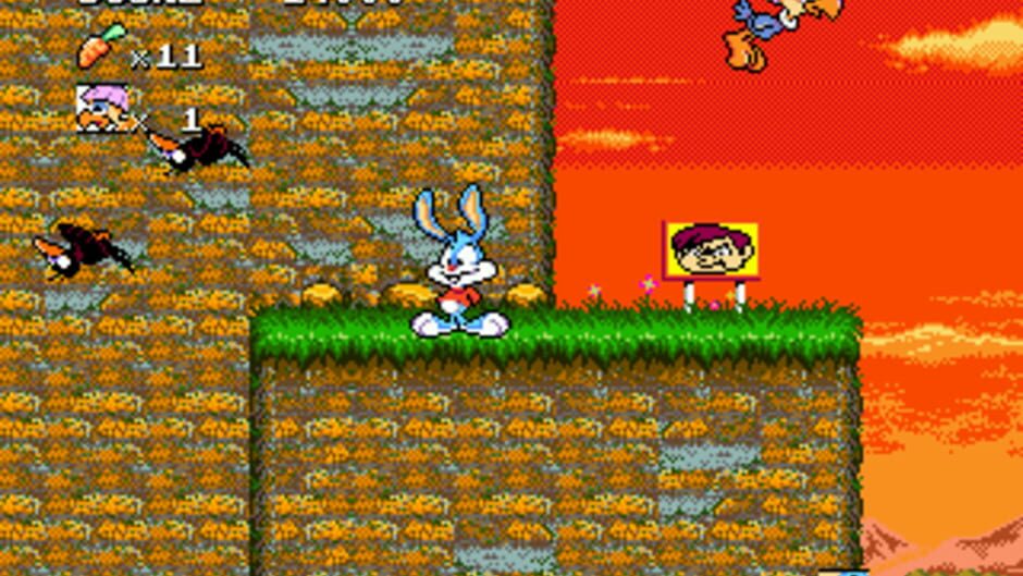 Tiny Toon Adventures: Buster's Hidden Treasure screenshot 3