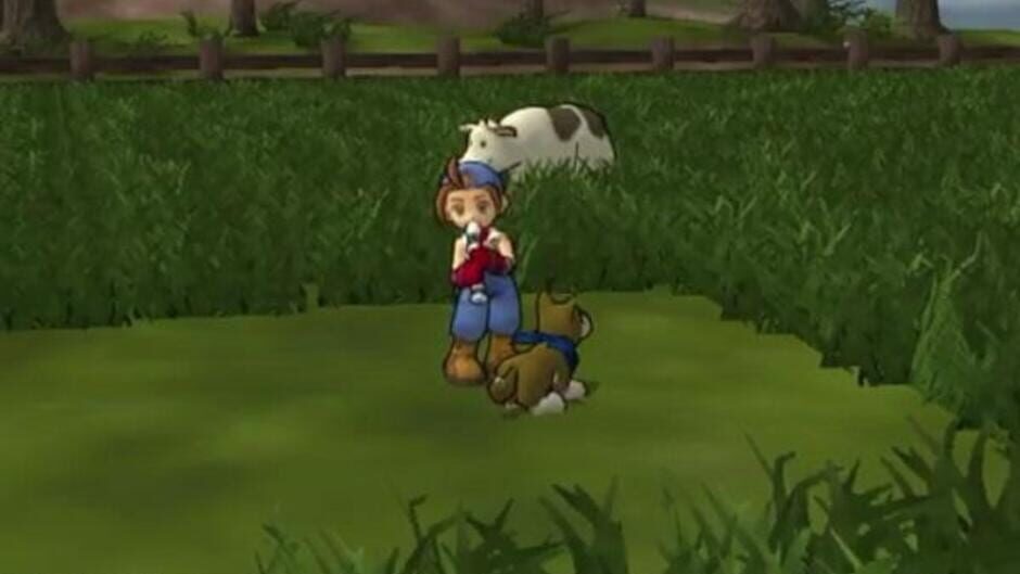 Harvest Moon: Save the Homeland screenshot 5