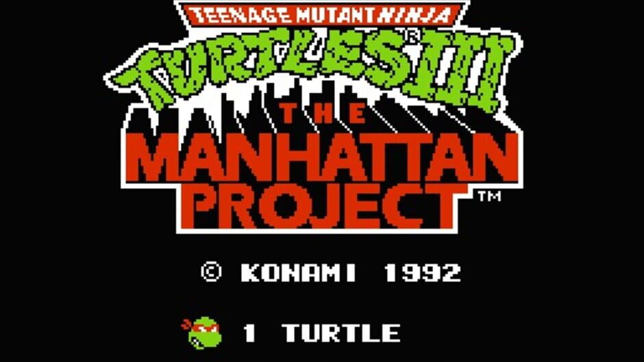 Teenage Mutant Ninja Turtles III: The Manhattan Project screenshot 2