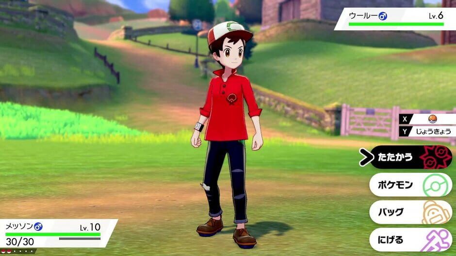 Pokémon Shield Expansion Pass screenshot 2