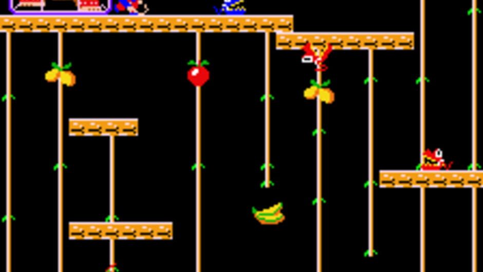 Donkey Kong Junior screenshot 2
