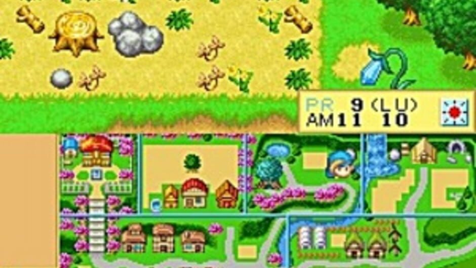 Harvest Moon DS screenshot 2