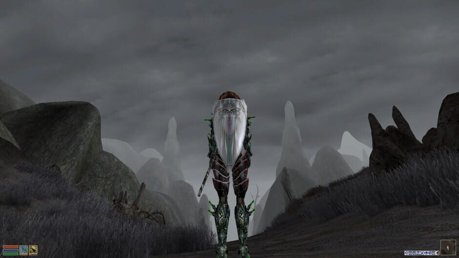 The Elder Scrolls III: Morrowind screenshot 3