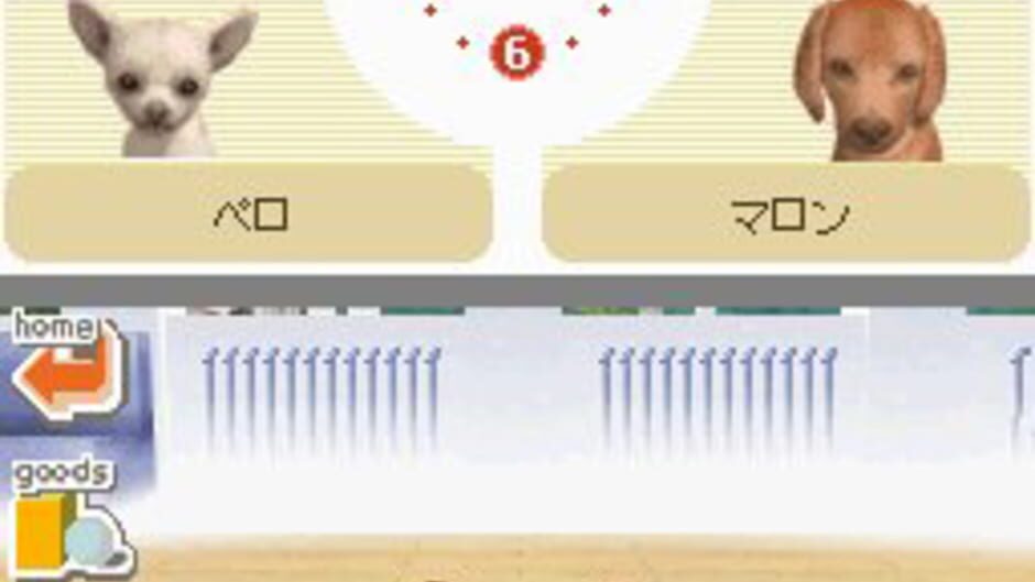 Nintendogs: Dachshund & Friends screenshot 1