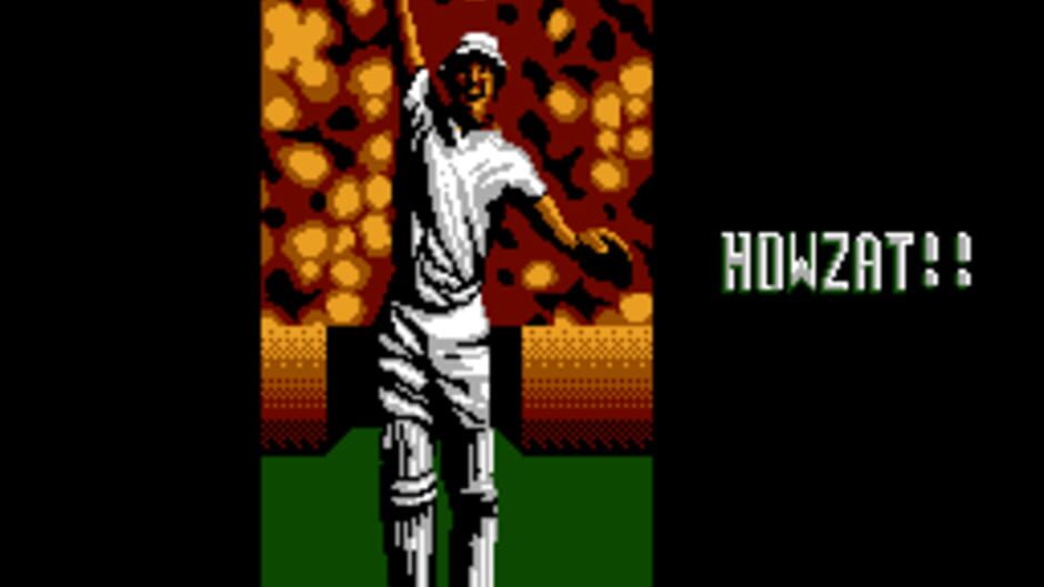 International Cricket screenshot 2