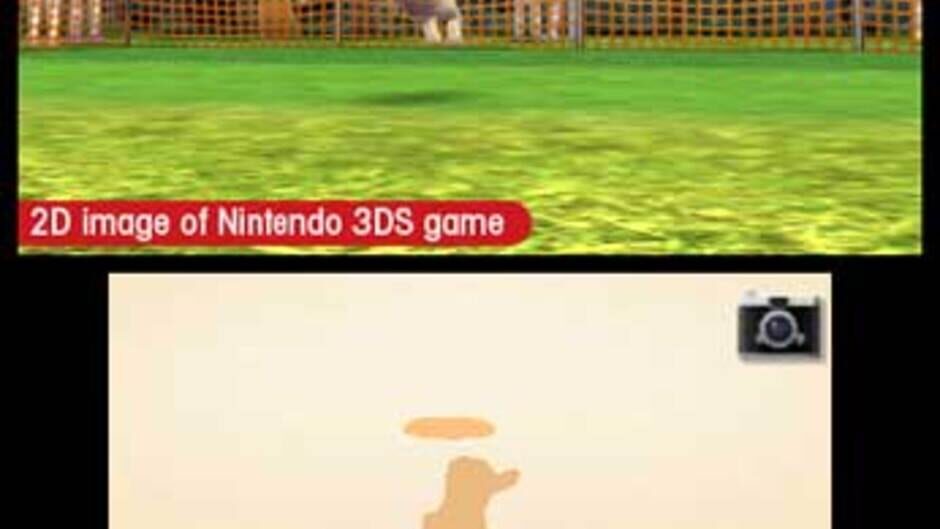 Nintendogs + Cats: Toy Poodle & New Friends screenshot 5