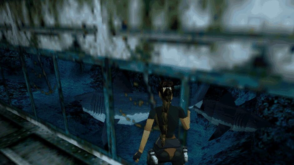 Tomb Raider II screenshot 1