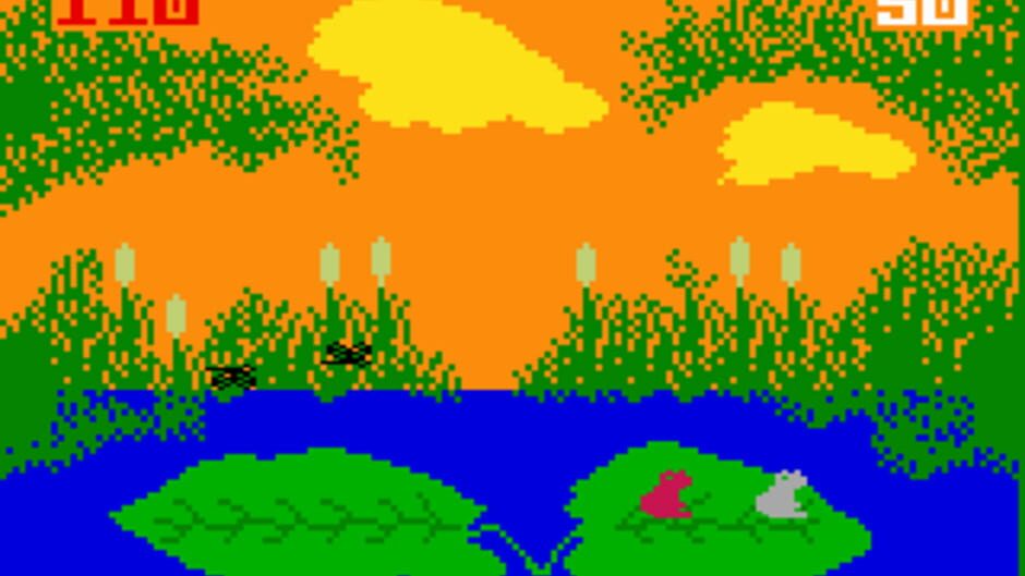 Frog Bog screenshot 5