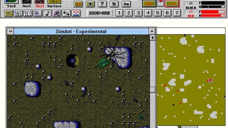 SimAnt screenshot 7