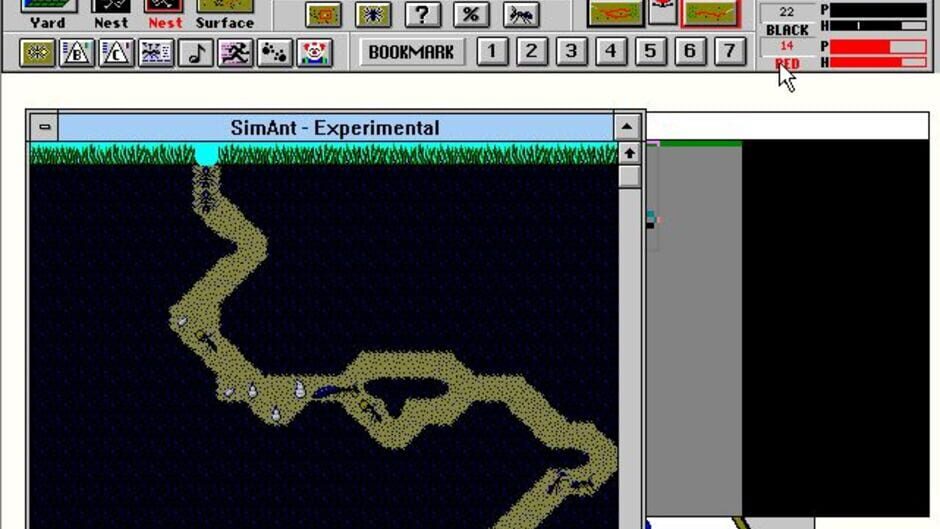 SimAnt screenshot 4