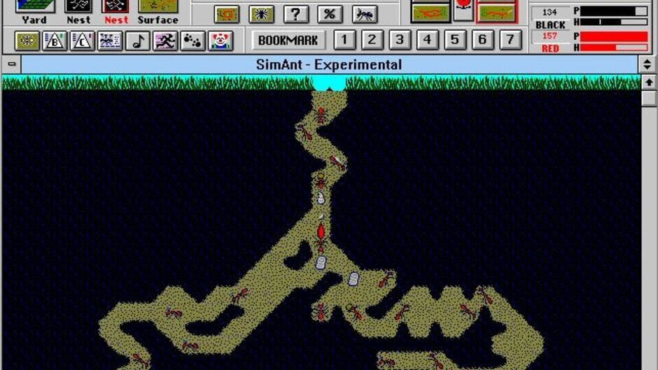 SimAnt screenshot 3