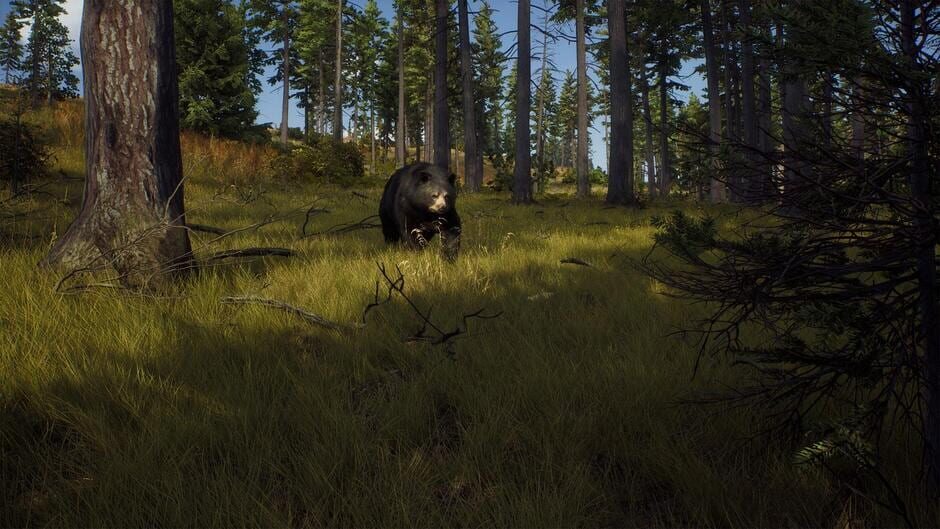 Way of the Hunter screenshot 3