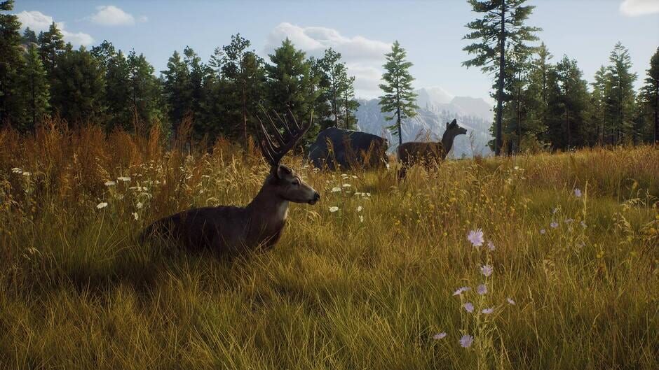 Way of the Hunter screenshot 4