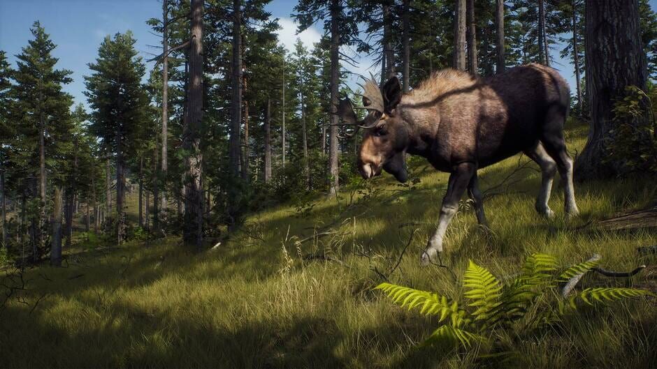 Way of the Hunter screenshot 1