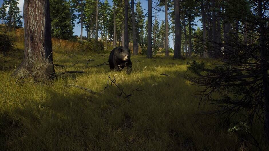 Way of the Hunter screenshot 6
