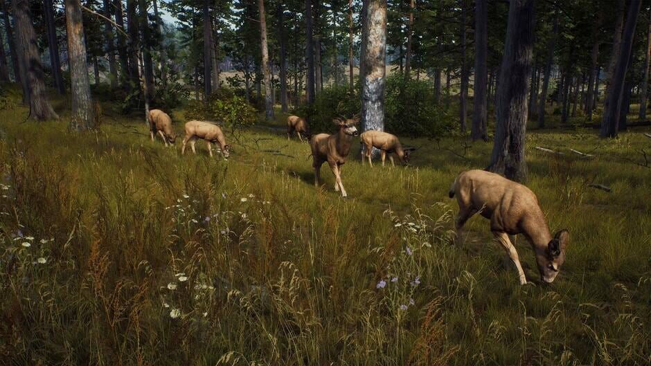 Way of the Hunter screenshot 8