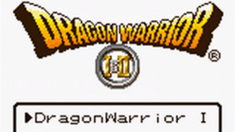 Dragon Warrior I & II screenshot 4