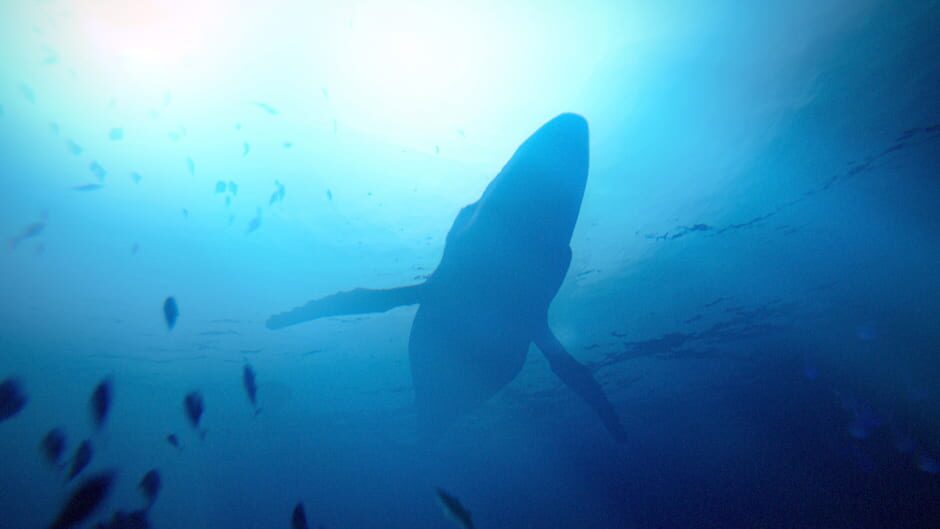 Under the Waves screenshot 1