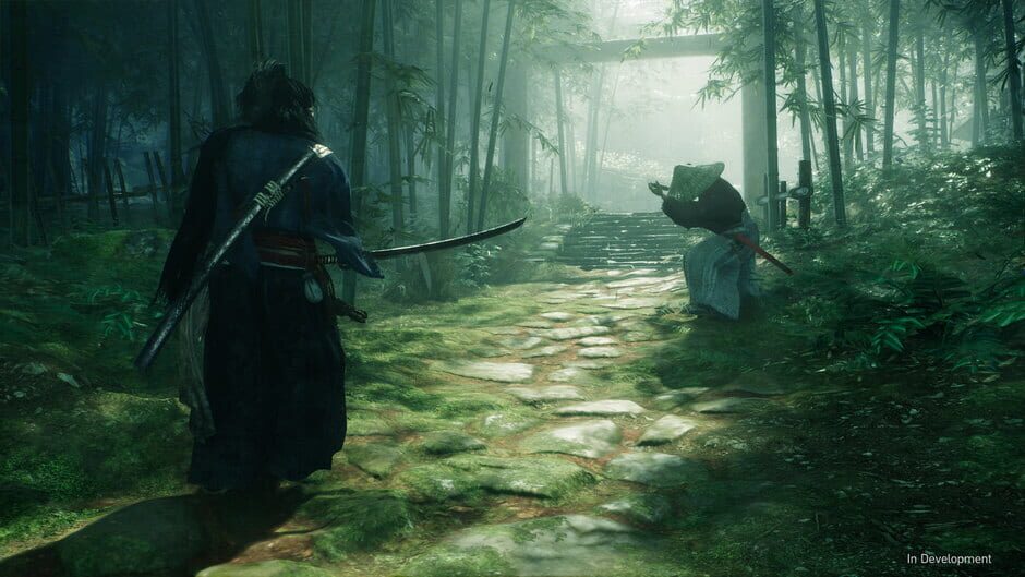 Rise of the Ronin screenshot 2