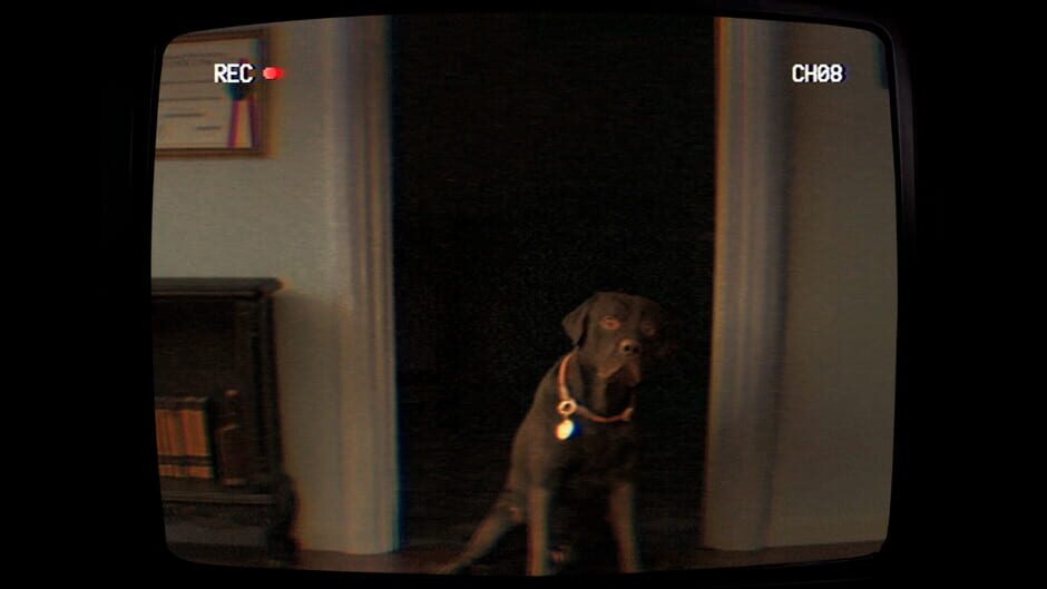 Teleforum screenshot 5