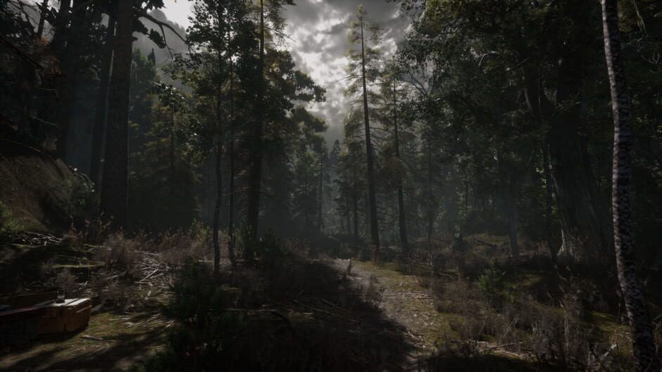 Stray Souls screenshot 6