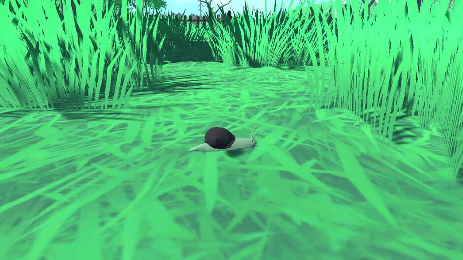 Snail Simulator screenshot 2