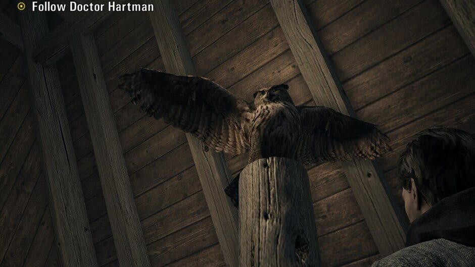 Alan Wake screenshot 6