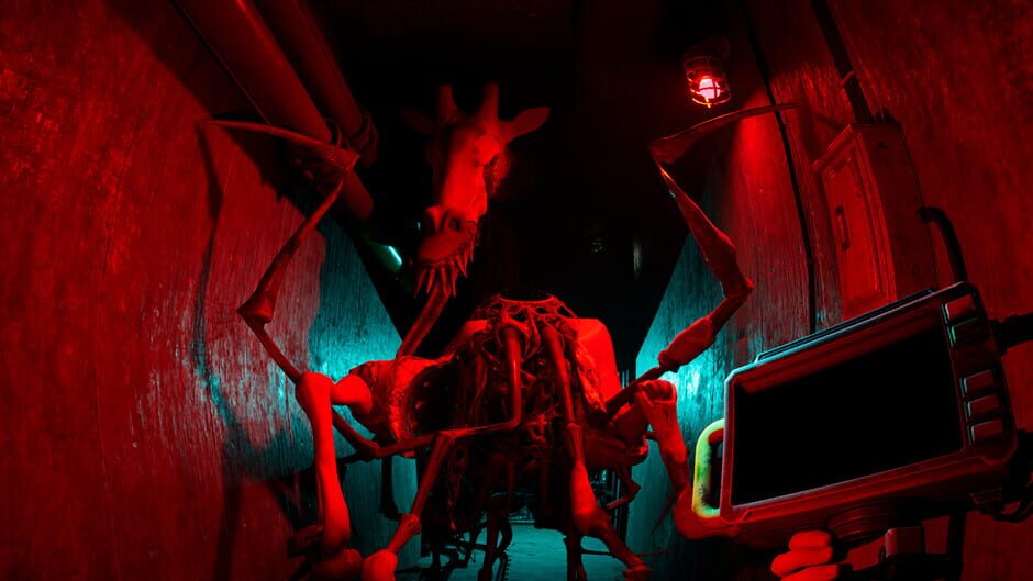 Zoochosis screenshot 8