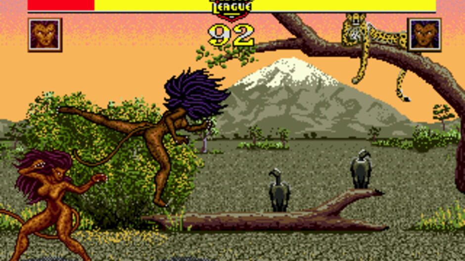 Justice League Task Force screenshot 5