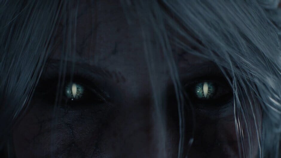 The Witcher IV screenshot 4