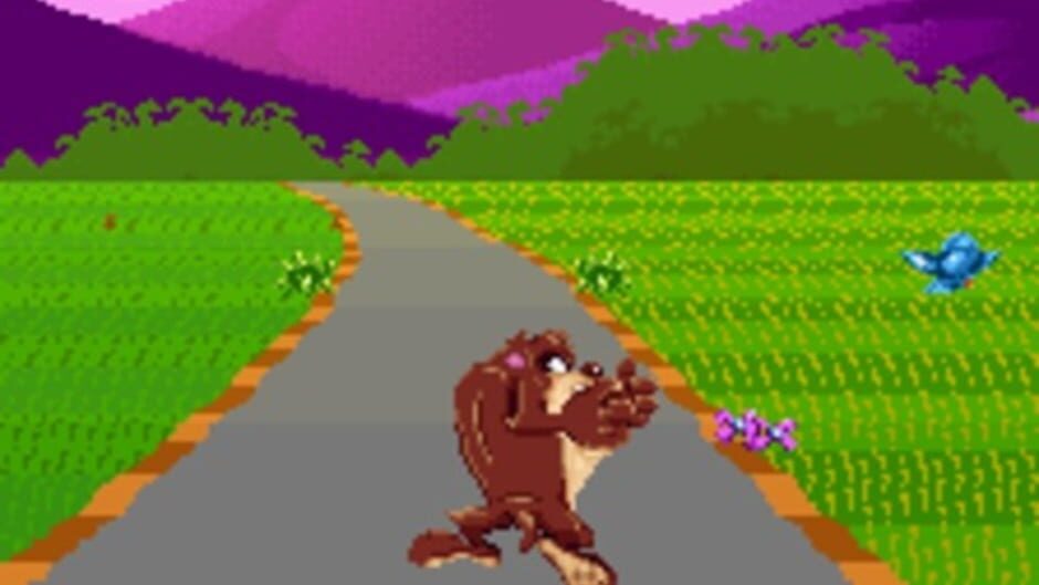 Taz-Mania screenshot 3