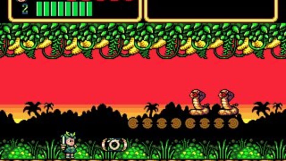 Wonder Boy III: Monster Lair screenshot 6