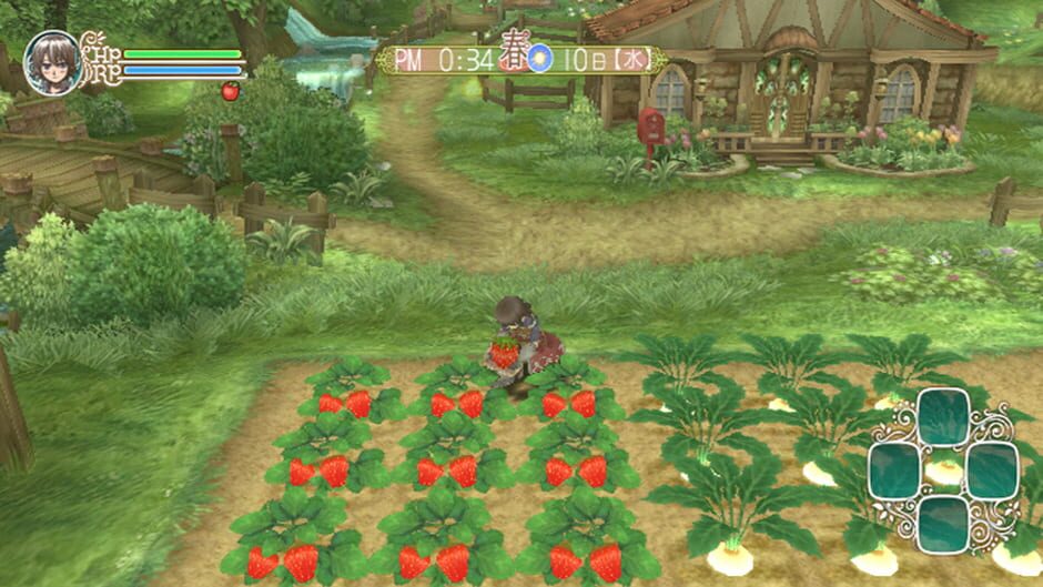 Rune Factory Frontier screenshot 7