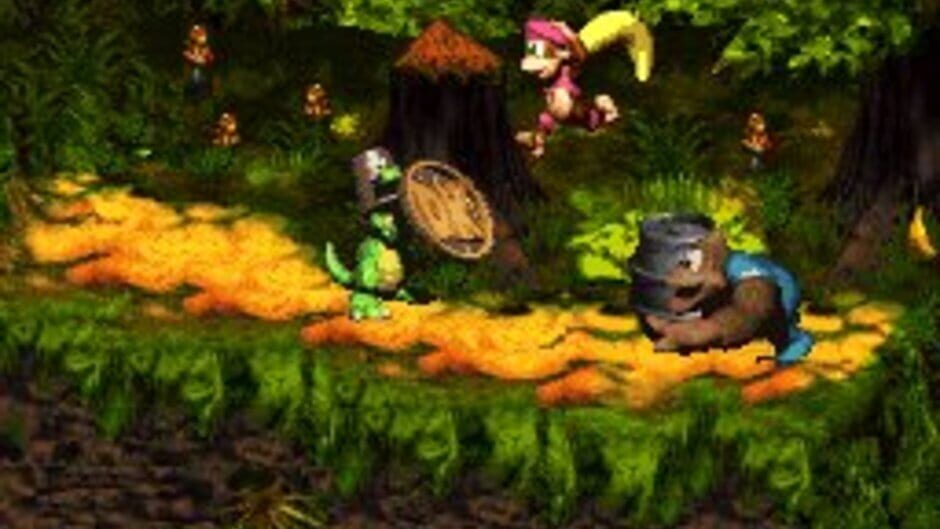 Donkey Kong Country 3: Dixie Kong's Double Trouble! screenshot 5