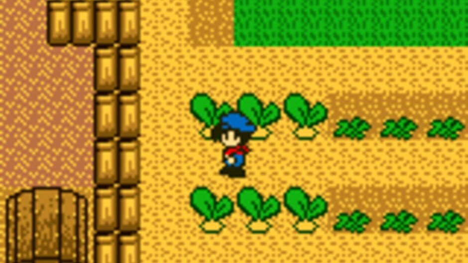 Harvest Moon GB screenshot 7