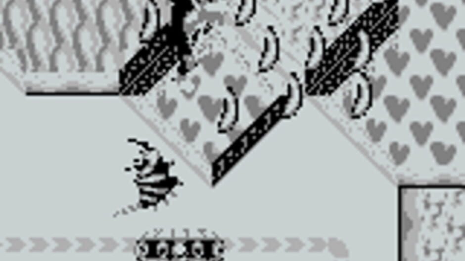 Donkey Kong Land screenshot 4