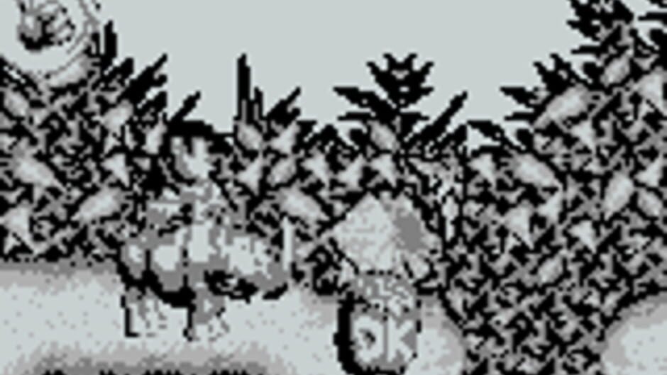 Donkey Kong Land screenshot 5