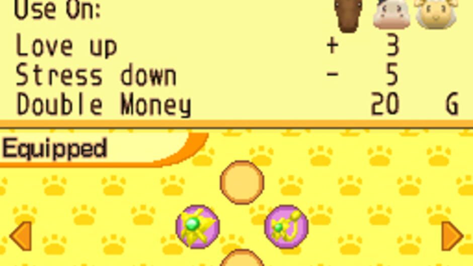 Harvest Moon DS: Island of Happiness screenshot 5