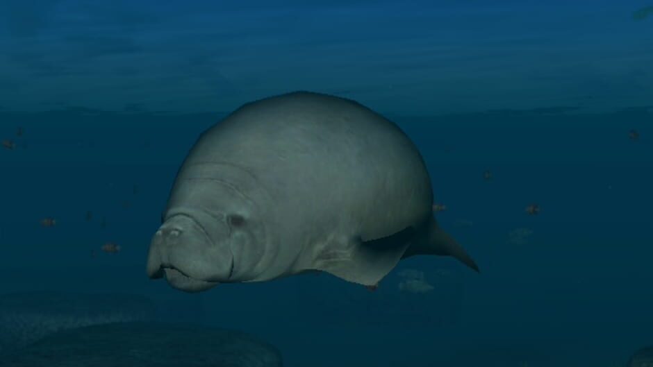 Endless Ocean: Blue World screenshot 7