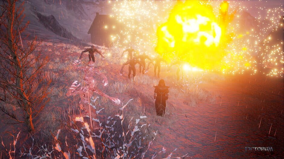 Fictorum screenshot 5