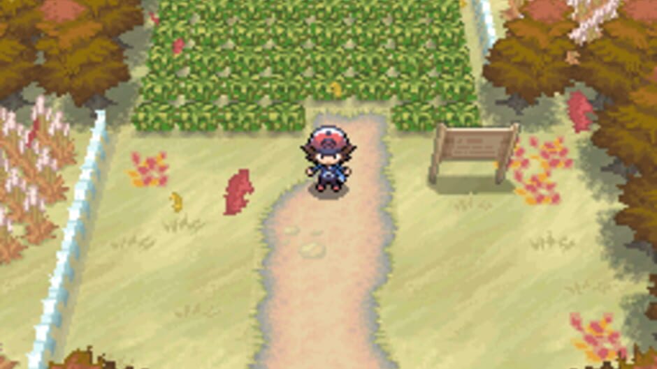 Pokémon Black Version screenshot 1