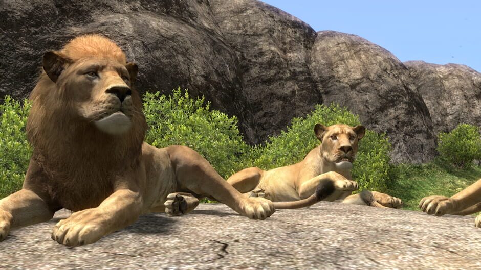 Afrika screenshot 3