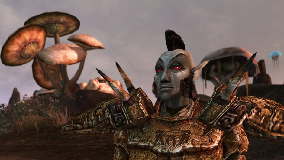 The Elder Scrolls III: Morrowind screenshot 8