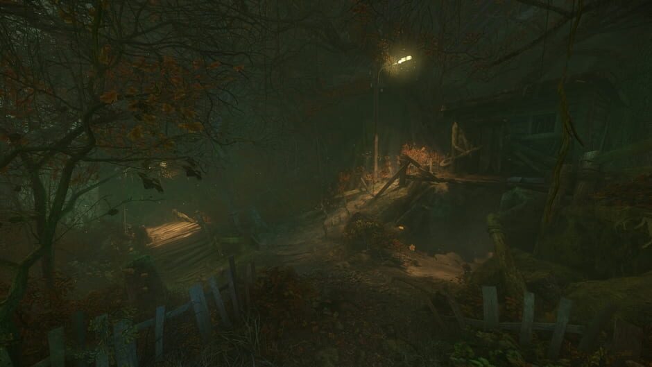 The Cursed Forest screenshot 2