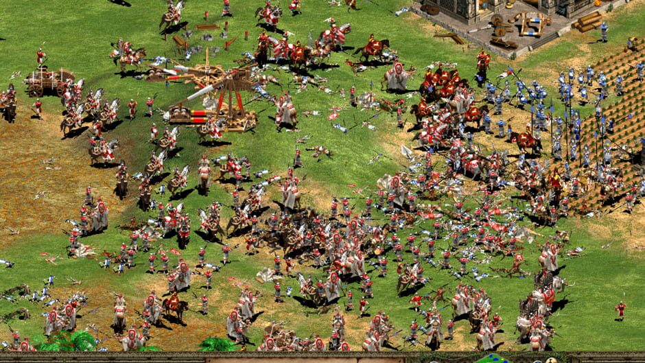 Age of Empires II: The Age of Kings screenshot 2