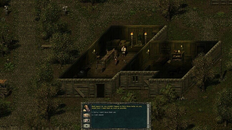 Divine Divinity screenshot 1