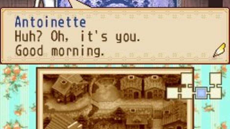 Harvest Moon DS: Grand Bazaar screenshot 5