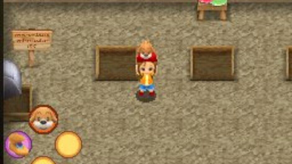 Harvest Moon DS: Sunshine Islands screenshot 4