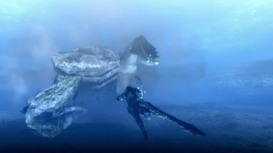 Monster Hunter Tri screenshot 6